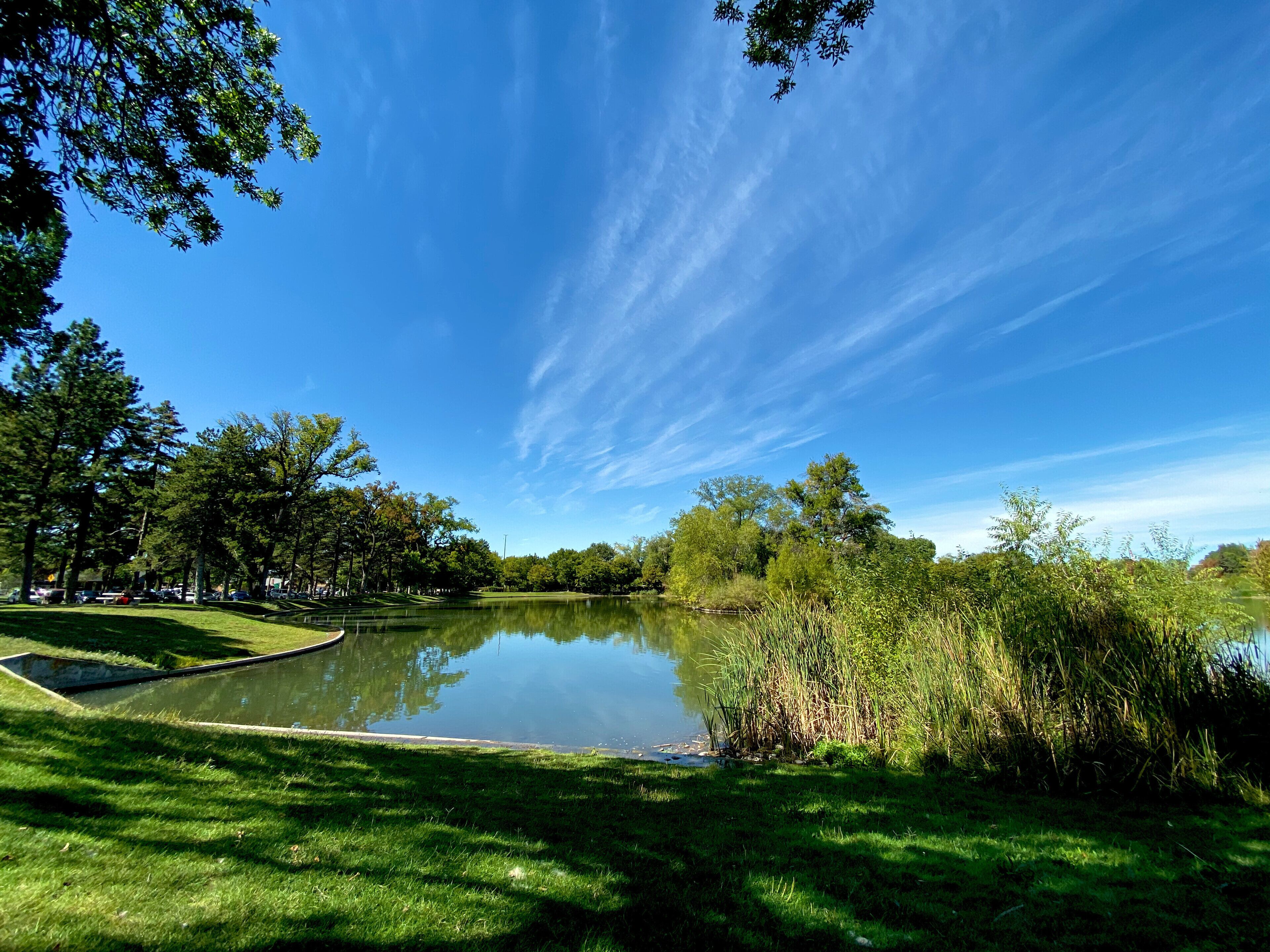 Un parque tranquilo con un estanque, césped verde exuberante y árboles bajo un cielo azul despejado.