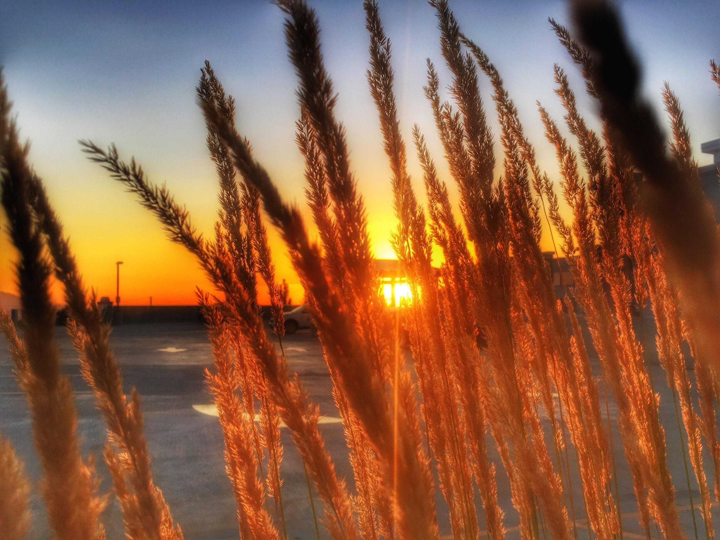 📸:@fatimanawabi
📍Salt Lake City 
#utahlust #beutahful #utahgram #werutah #igutah #wowutah #utahisrad #utahspots #thegreatsw #lifeelevated #utah #landscape #natgeoadventure #igdaily #instagood #ig_masterpiece #picoftheday #photooftheday #wanderlust #travel #visitutah #saltlakecity 