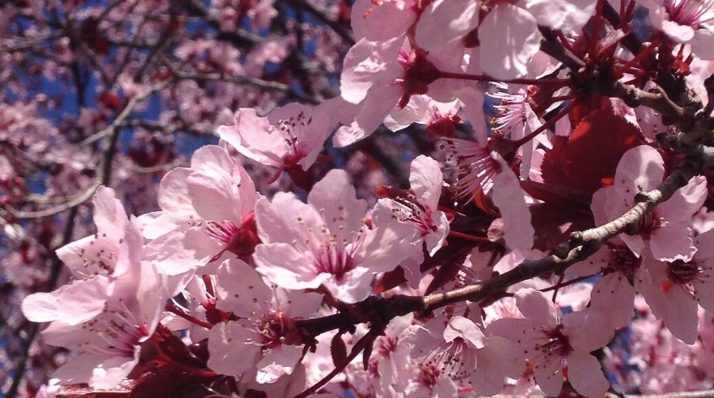 Gorgeous Day at University Of Utah