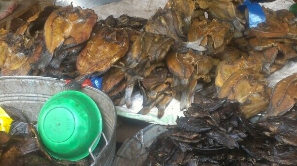 Dry fish sale @ solwezi market..