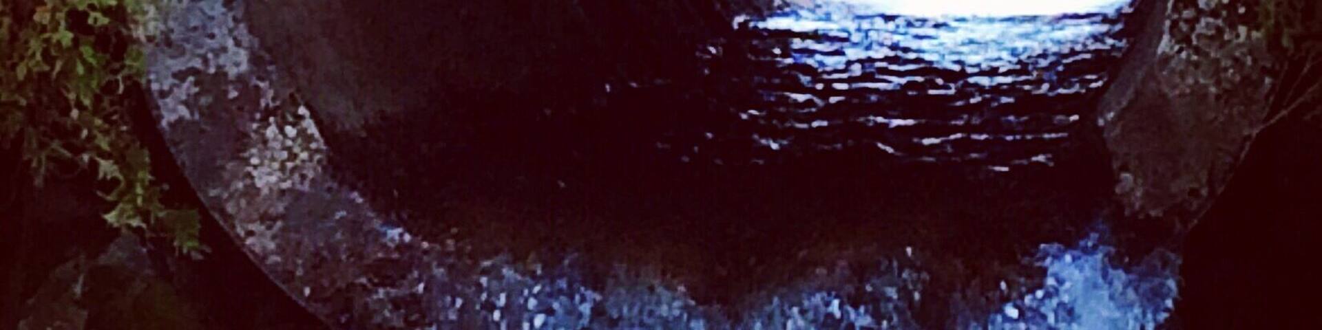 #TunnelVision #pristine #wilderness #ADKs #upstateNY