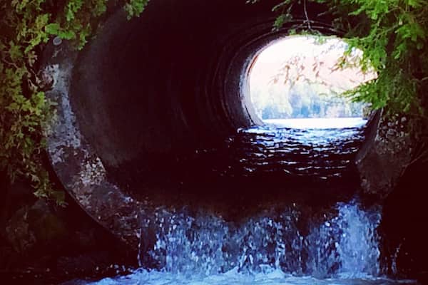 #TunnelVision #pristine #wilderness #ADKs #upstateNY