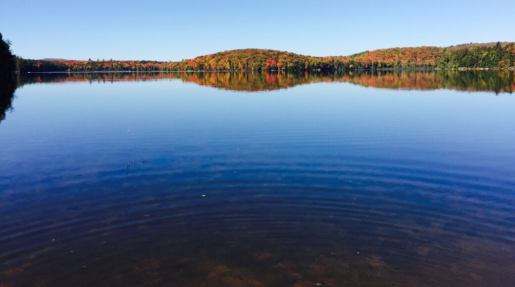 The Adirondacks is a place of beauty. Every time I turned around I wanted to take pictures of different stuff.