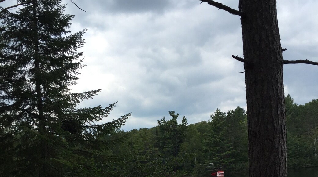 We had such a great time at fish creek pond campground ! Weather was amazing and the fishing was fantastic !!