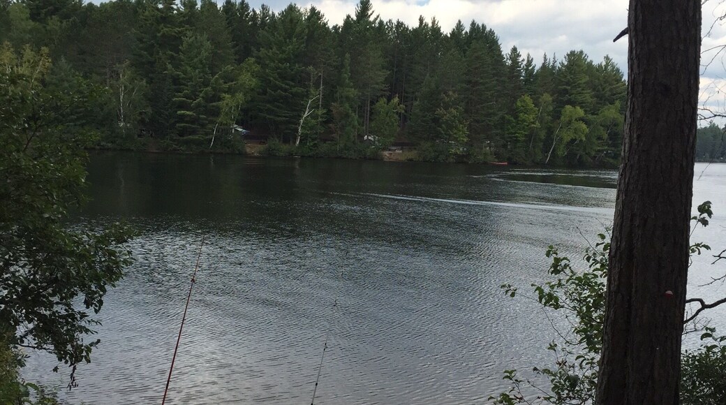 Fishing rite from our camp site in the Adirondacks I caught black bass and perch late into the night. By far our favorite campground we have ever been 2!!