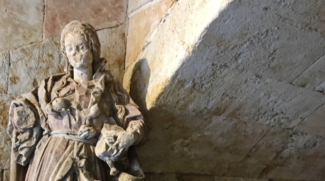 Salamanca. From a very long day!