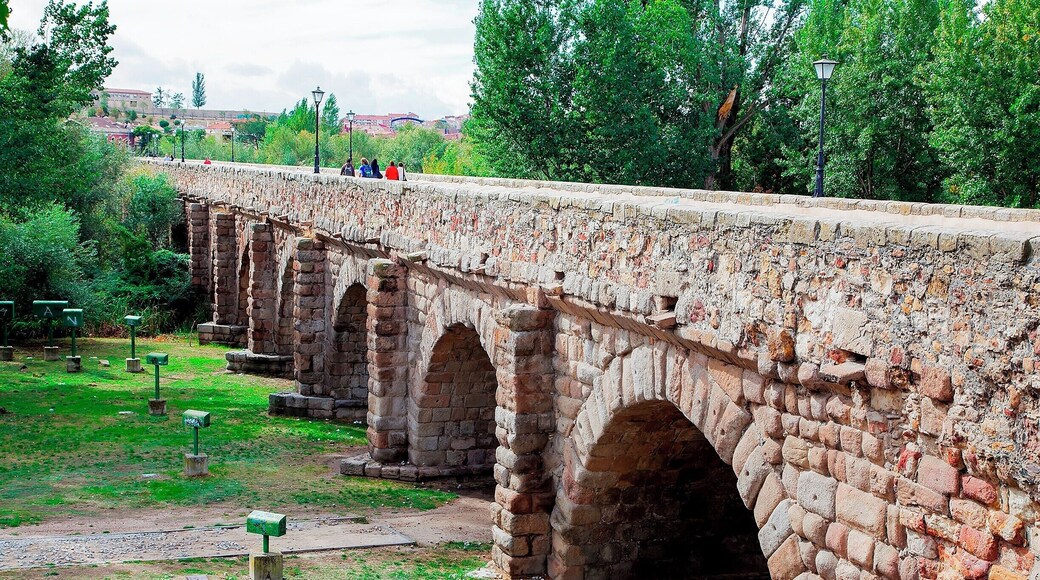 Attention: All vehicles over 18 tons use the Roman bridge. Apparently that was the notice installed on the new Salamanca bridge when it opened in 1913. The Roman's knew how to (over) engineer their bridges, which is why hundreds of them still stand all over Europe.
This particular bridge crosses the Tormes River along the VĂa de la Plata, an historically important military and trade route in western Spain. The bridge was built in 89 and features 15 arches spanning nearly a quarter mile (356m). Some of the arches were rebuilt in 17th century after severe flooding.
Today the bridge is a pedestrian walkway and is nicely illuminated at night. I guess modern day Salamancians finally figured out how to build a bridge for 18-ton trucks.