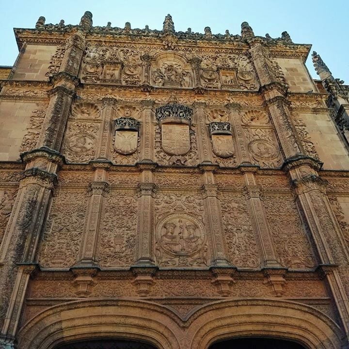 Can you find the frog sitting atop the skull?  It symbolizes good fortune to students!