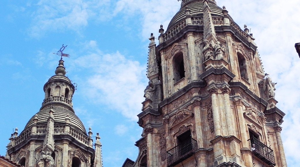 Impressive Salamanca!
http://cityoftheweek.net/category/salamanca-2/