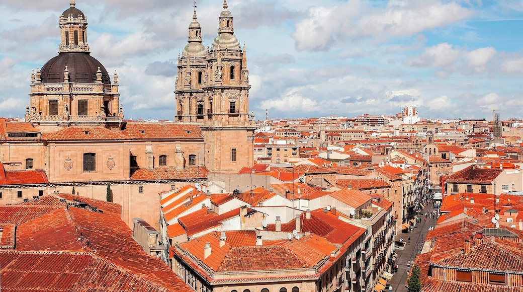 Cityscape as seen from the roof of the New Cathedral. Dominating the scene is the baroque style La Iglesia de la Clerecía (The Church of the Clergy), built between 1617 and 1755. Definitely worth the small entry fee.