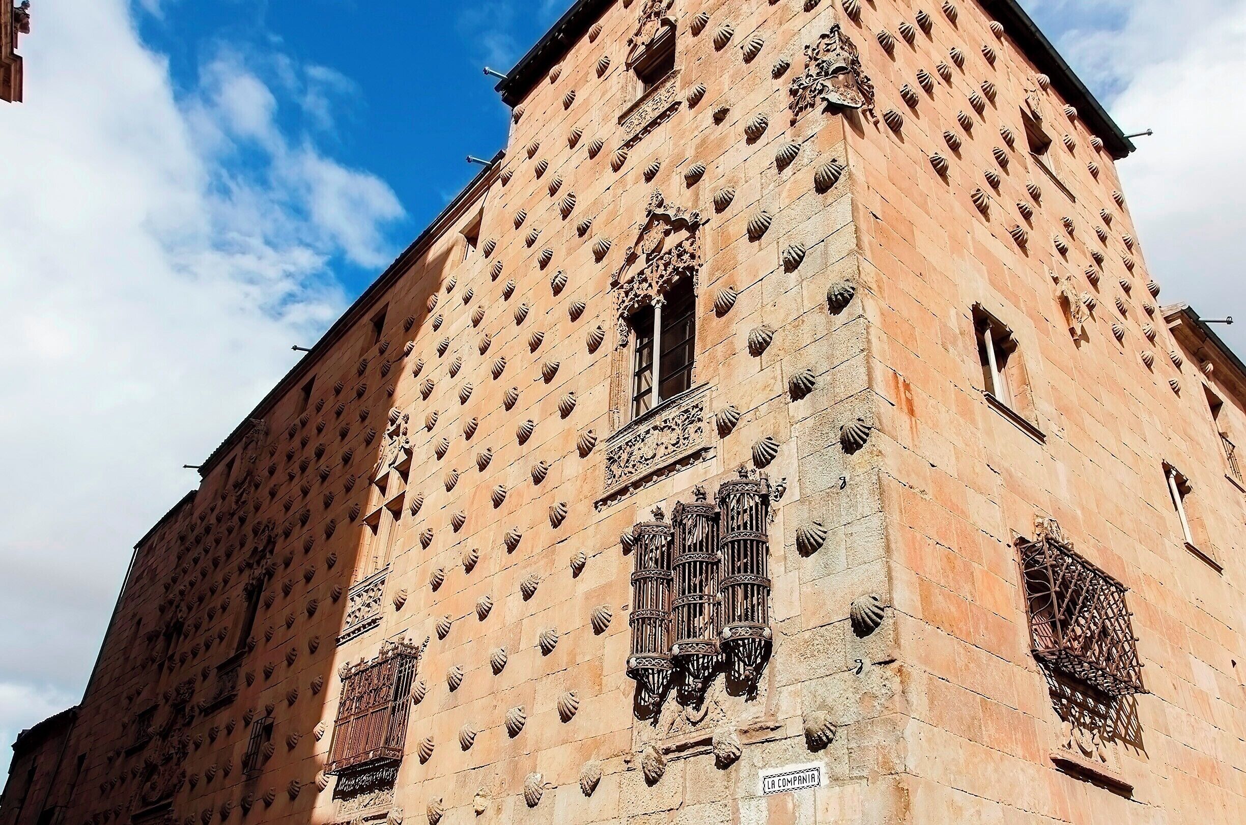 Iconic 16th century palace, now a public library.  It was built by Rodrigo Arias de Maldonado, a knight of the Order of Santiago de Compostela and a professor at the University of Salamanca.  The design is of Plateresque Gothic (late Gothic architecture, Renaissance detailing) and the façade is decorated with more than 300 scallop shells, the symbol of the order of Santiago.

#Architecture
