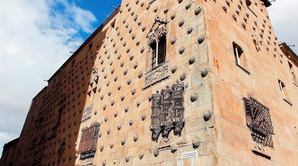 Iconic 16th century palace, now a public library. It was built by Rodrigo Arias de Maldonado, a knight of the Order of Santiago de Compostela and a professor at the University of Salamanca. The design is of Plateresque Gothic (late Gothic architecture, Renaissance detailing) and the façade is decorated with more than 300 scallop shells, the symbol of the order of Santiago.
#Architecture