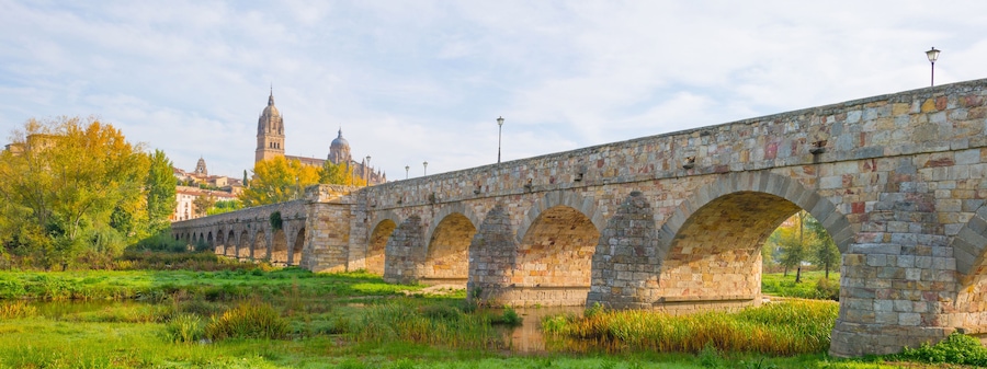 Roman bridge of the city of Salamanca in sunlight at fall; Shutterstock ID 733945777; purchase_order: Comps; job: ; client: ; other: