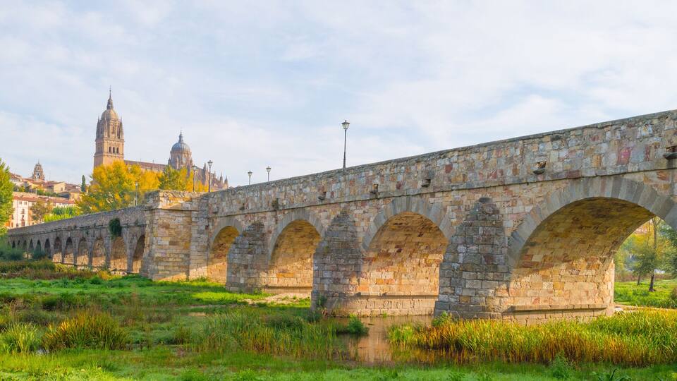 A stone bridge with multiple arches over a river, surrounded by greenery and a historic building in the background.