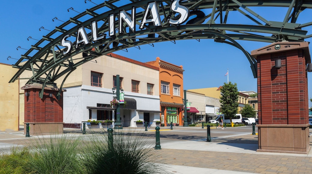 Salinas , CA downtown sign