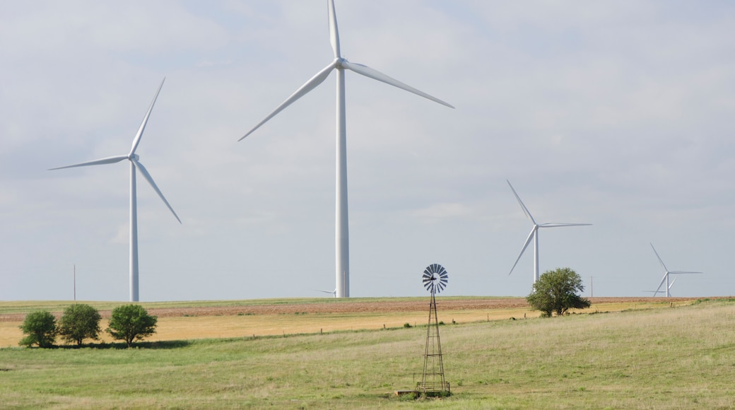 Old and New Wind Turbine on a Wind Farm