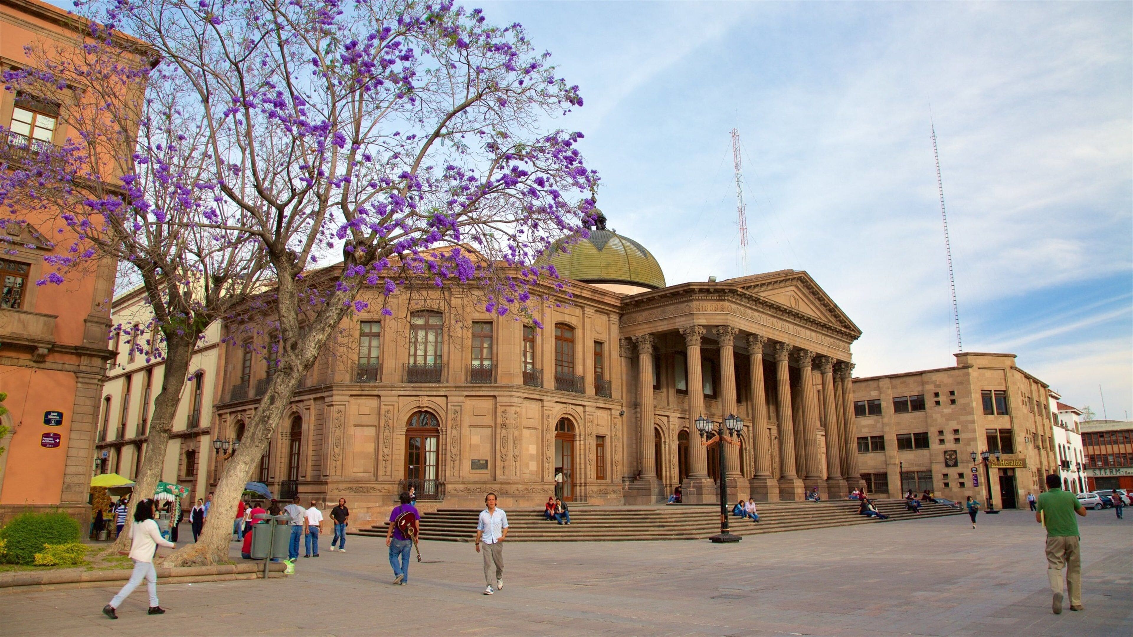 サン ルイス ポトシ観光ガイド～定番人気スポットを参考に自分に