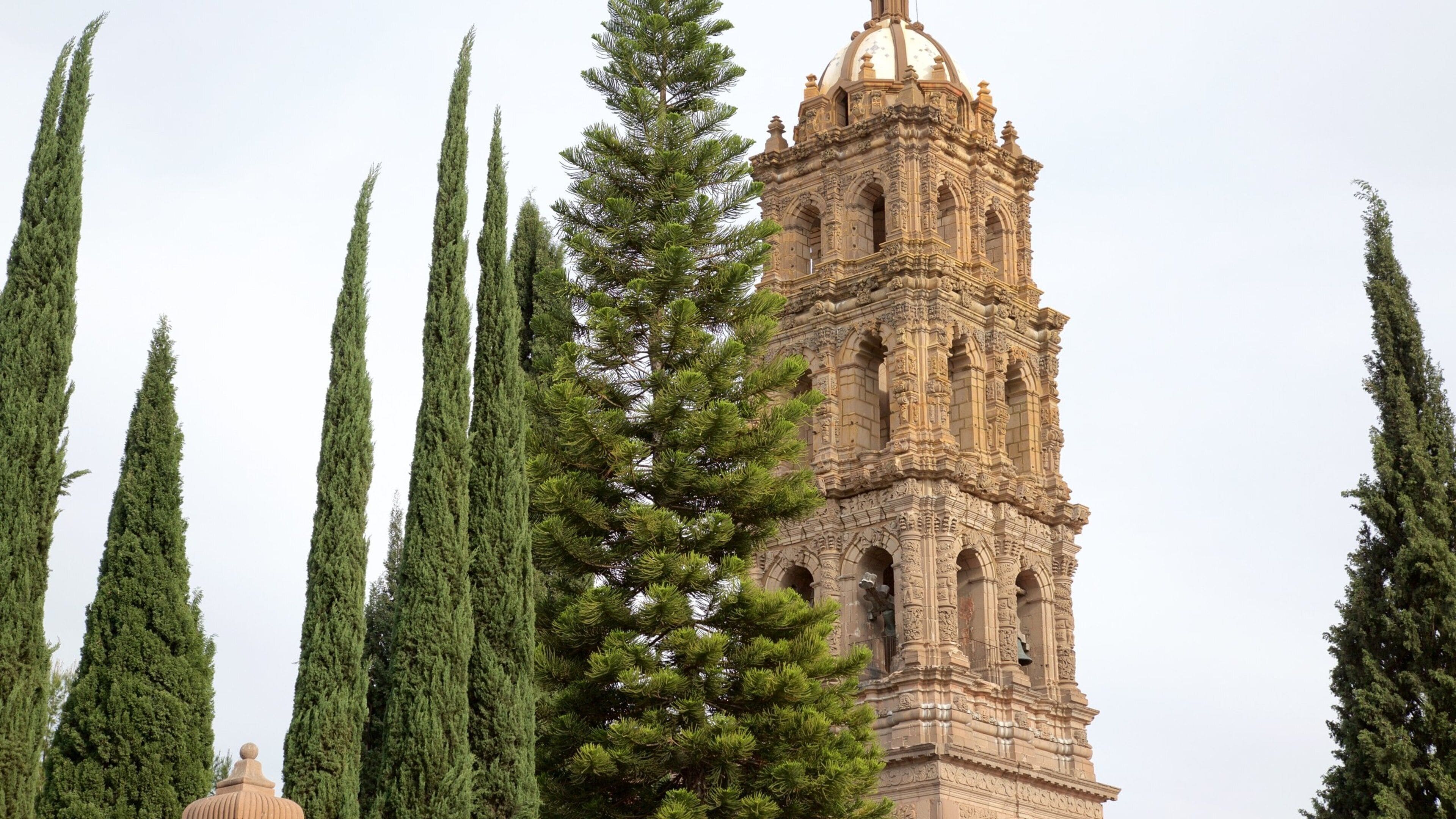 サン ルイス ポトシ観光ガイド～定番人気スポットを参考に自分に