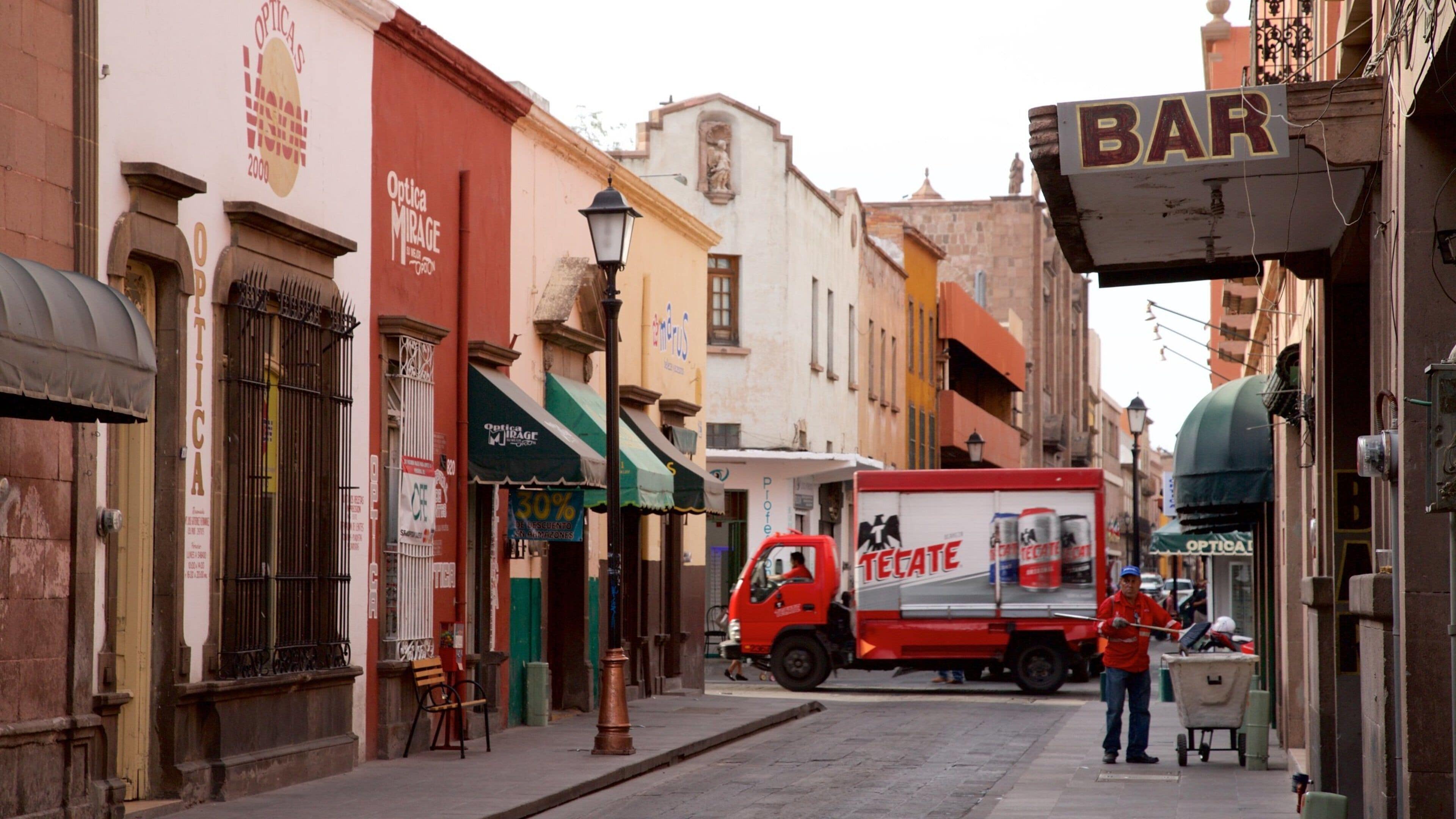San Luis Potosi サンルイポトシ　ガイドブック Lonely Planet Mexico, 8th Edition: John Noble: 9781740590280