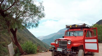 This vehicle is called a "Willy". Back in the 50's they were used in war. Now a days you can take one from the magic town of Real de Catorce all the way down to the Wirikuta Desert.