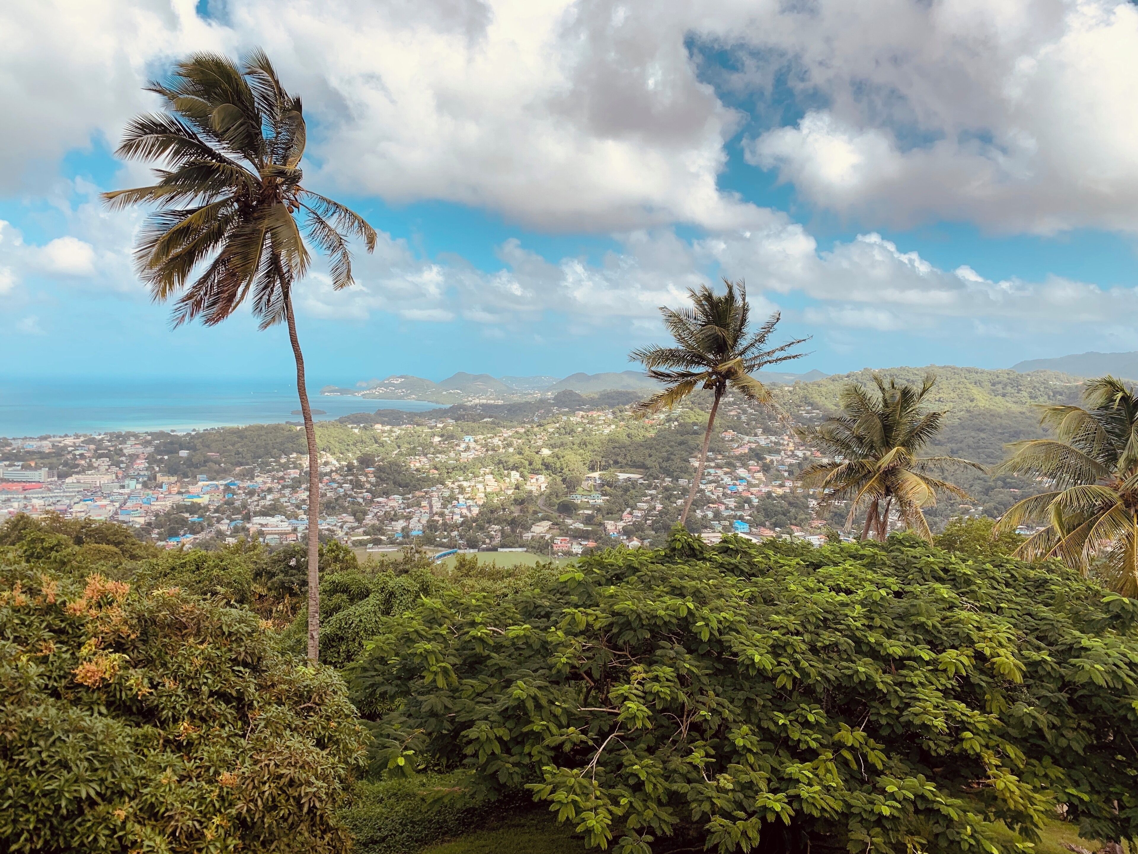 Admiring the view on this sunny day!