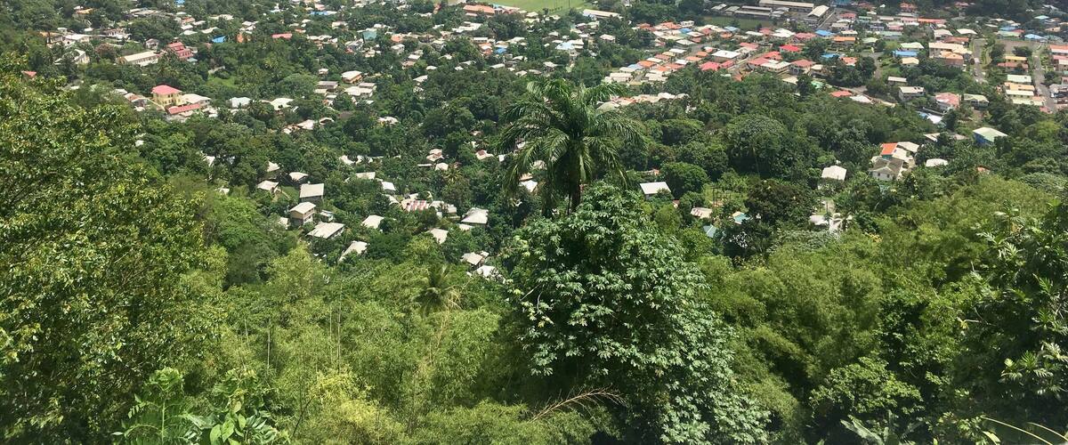 A coastal town with dense housing, green hills, and a view of the sea.