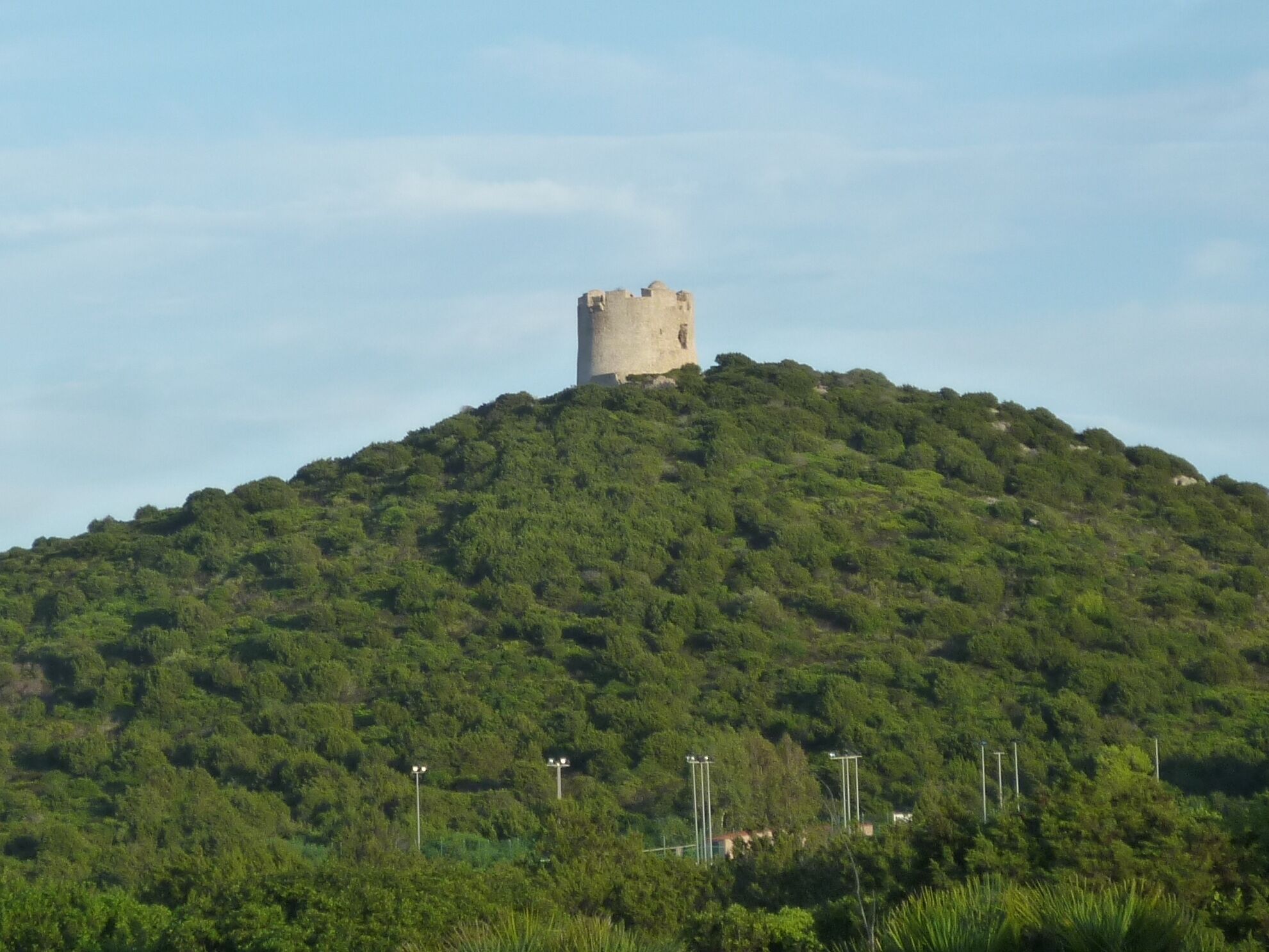 A hill with a castle on top, surrounded by dense green forest.