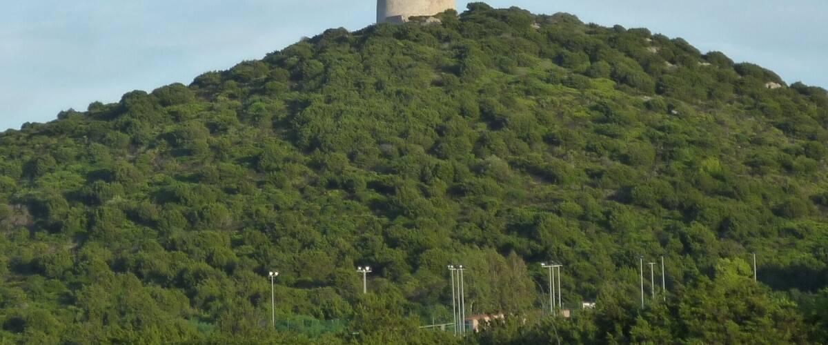 A hill with a castle on top, surrounded by dense green forest.