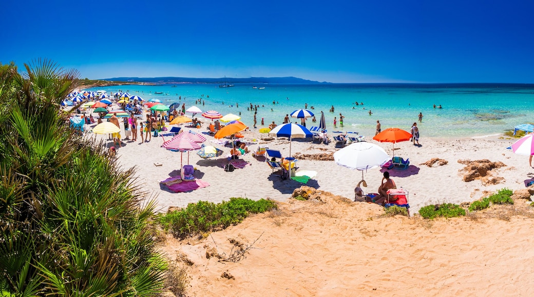Spiaggia delle Bombarde beach near Alghero, Sardinia, Italy.
