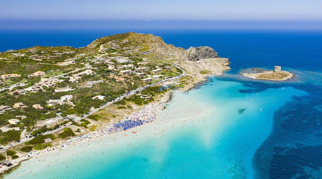 Stunning aerial view of the Spiaggia Della Pelosa (Pelosa Beach) full of colored beach umbrellas and people sunbathing and swimming in a beautiful turquoise clear water. Stintino, Sardinia, Italy.