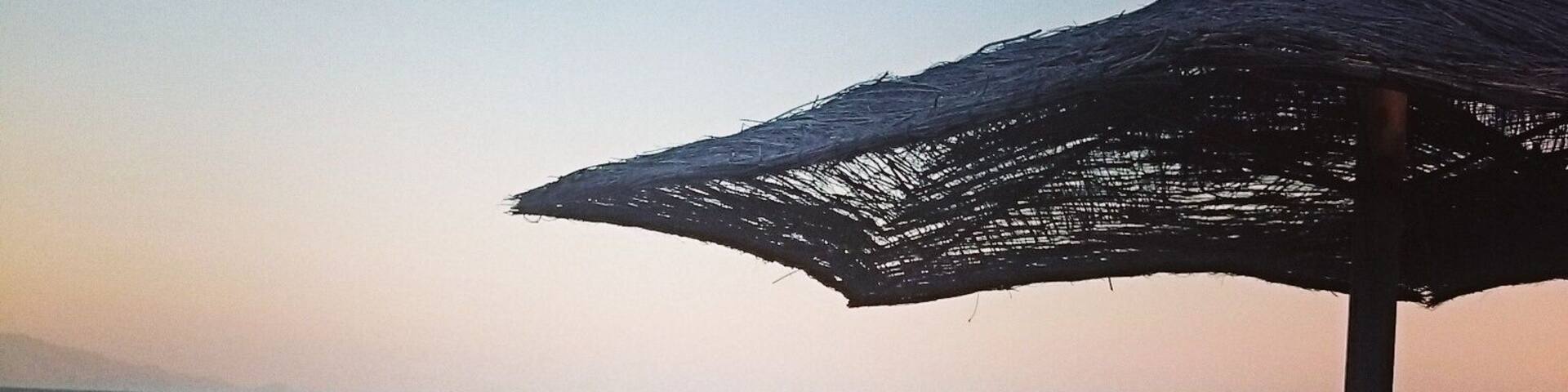 Beach, Palm & Pine trees in the same place together with a wonderful blue sea..perfect place to relax @Sardinia, Italy