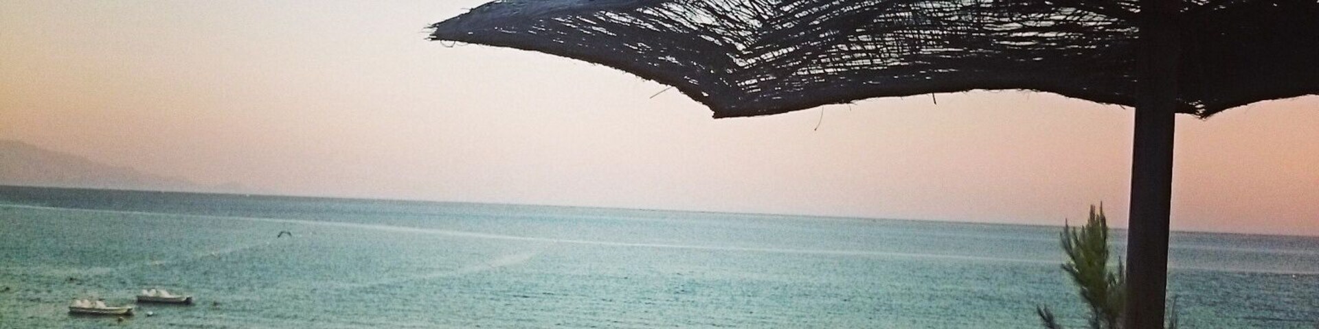 Beach, Palm & Pine trees in the same place together with a wonderful blue sea..perfect place to relax @Sardinia, Italy
