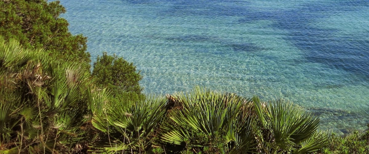Crystal clear sea at Lazzaretto beach near Alghero, perfect for swimming and snorkeling.
Alghero is a gem of a town in Sardinia, surrounded by beautiful nature: sandy beaches, coves and pine forests.. We went there at the end of September and the weather was warm enough to swim, without the crowds. The sun was not scorching, so it was doable to rent bikes and cycle along the hilly but tranquil roads overlooking the sea. The views were gorgeous, especially going North of Alghero up to Capo Caccia (about 25 km).
#beach #bicycle