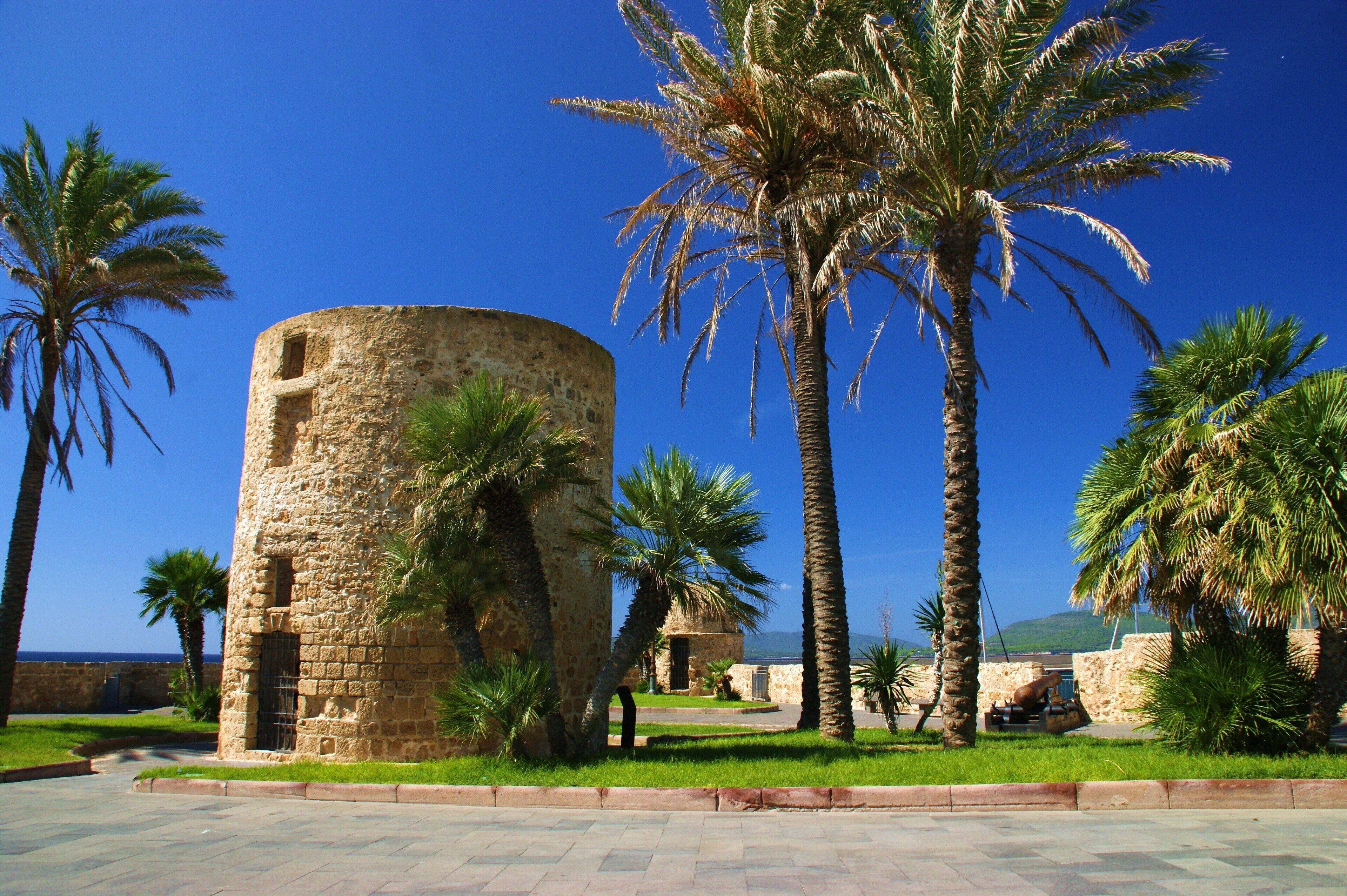 A historic stone tower, palm trees, and a clear blue sky.