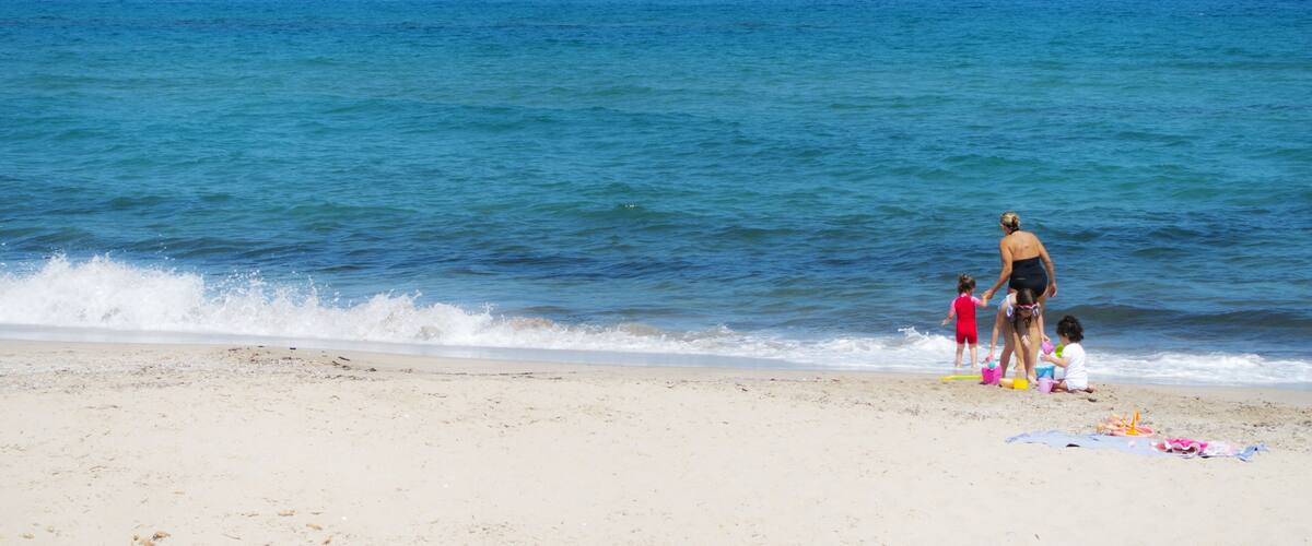A beach with a sandy shore and the ocean.