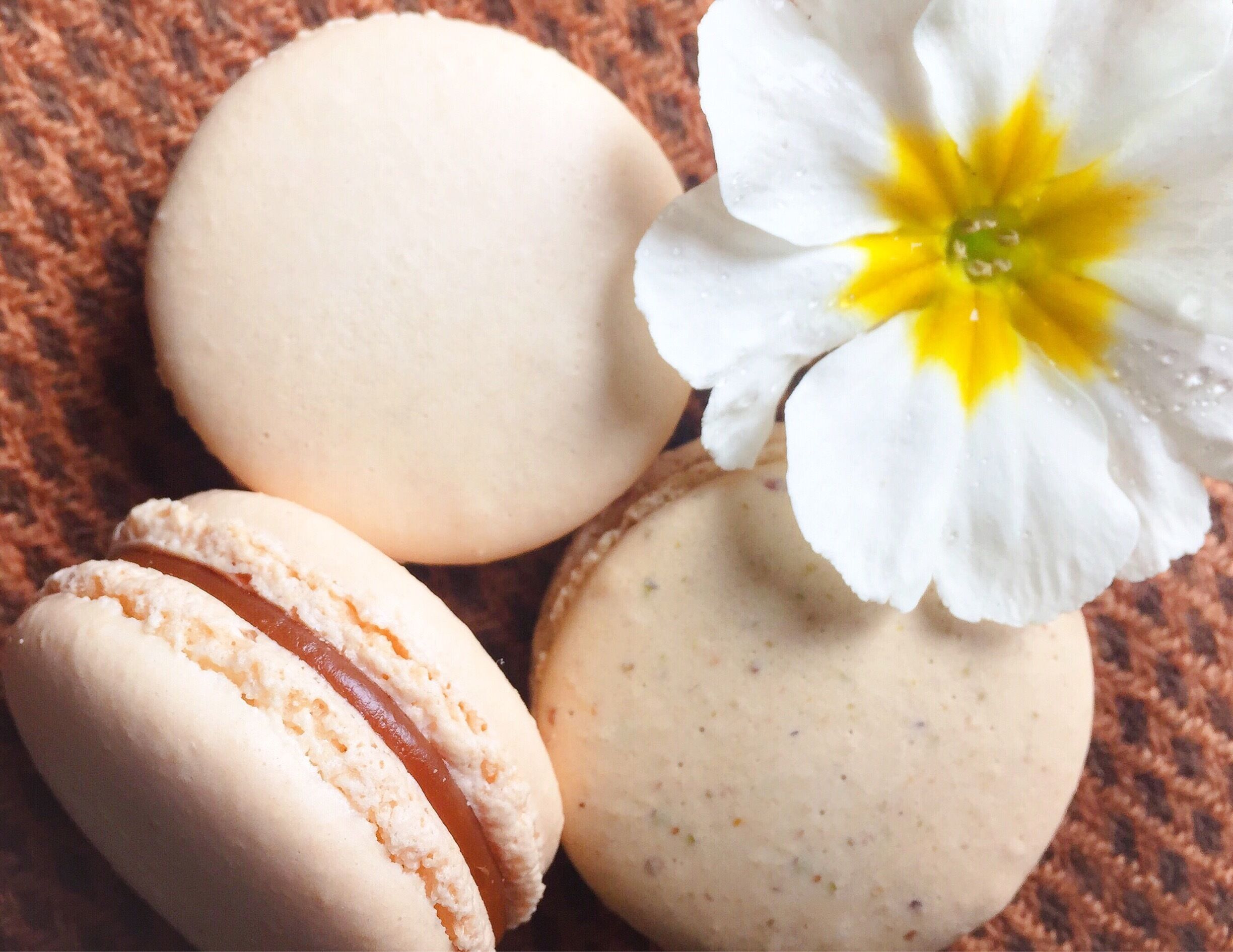 Great sweet spot in Sacramento for some treats. Try their macarons and specialty hot chocolates! 
More on http://www.ajauntwithjoy.com