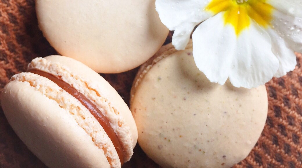 Great sweet spot in Sacramento for some treats. Try their macarons and specialty hot chocolates!
More on http://www.ajauntwithjoy.com