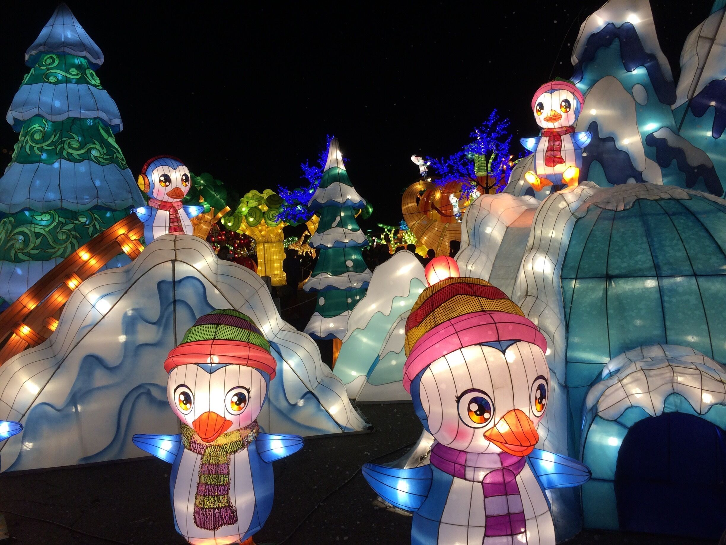 CalExpo - Global Winterwonderland ❄️