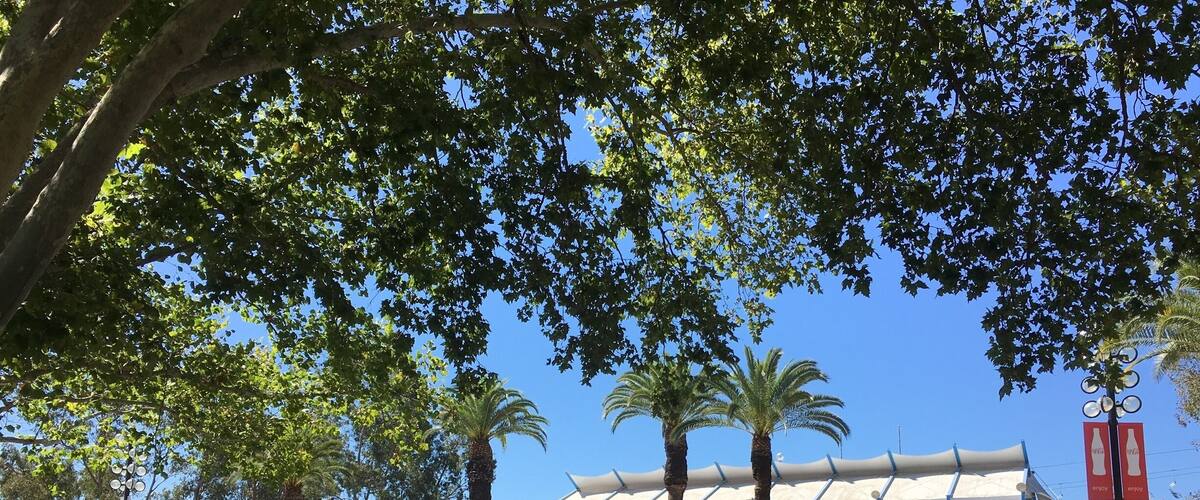 Welcome to the California State Fair☀️