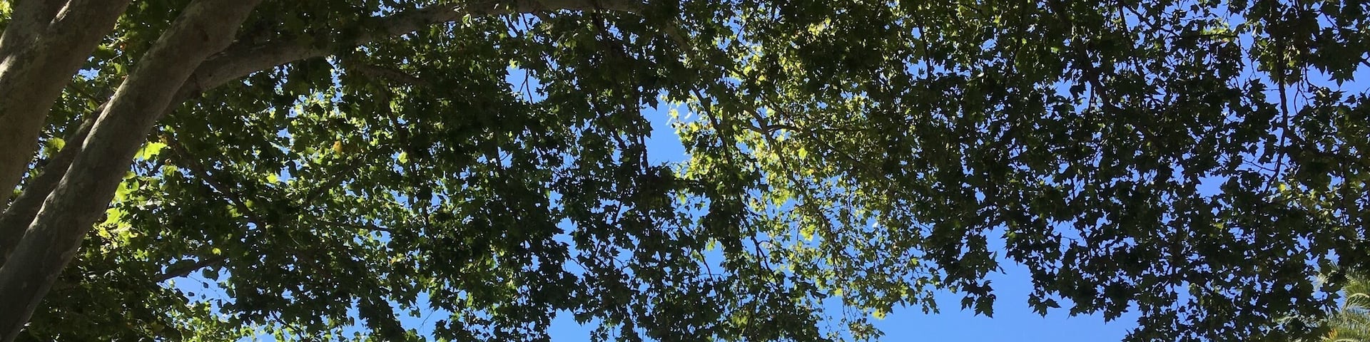 Welcome to the California State Fair☀️