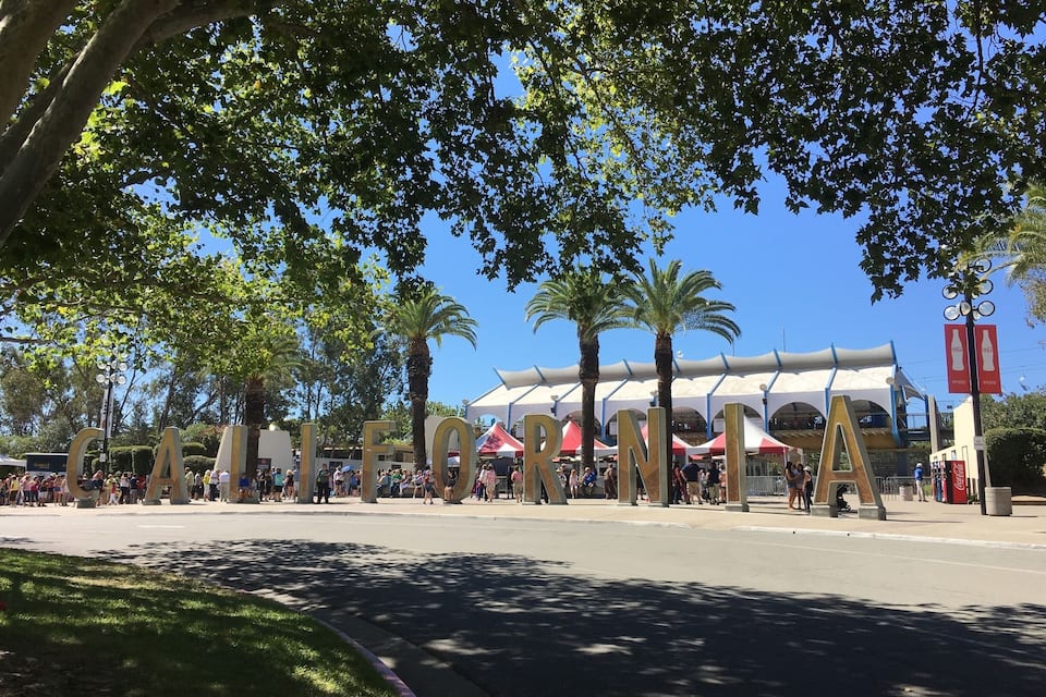 A large outdoor sign with the letters "CA" and "LEON" visible, surrounded by palm trees and a clear blue sky.