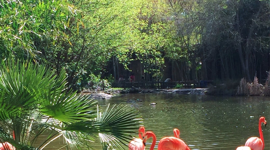 Small zoo but most of the animals are pretty close. And there's Giraffe feeding!
More on http://www.ajauntwithjoy.com