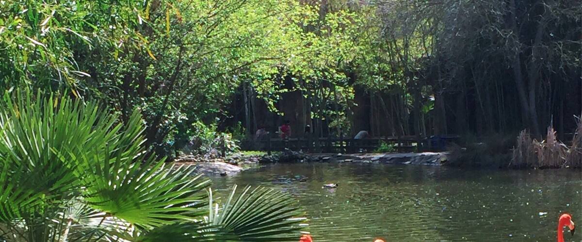 Small zoo but most of the animals are pretty close. And there's Giraffe feeding!
More on http://www.ajauntwithjoy.com