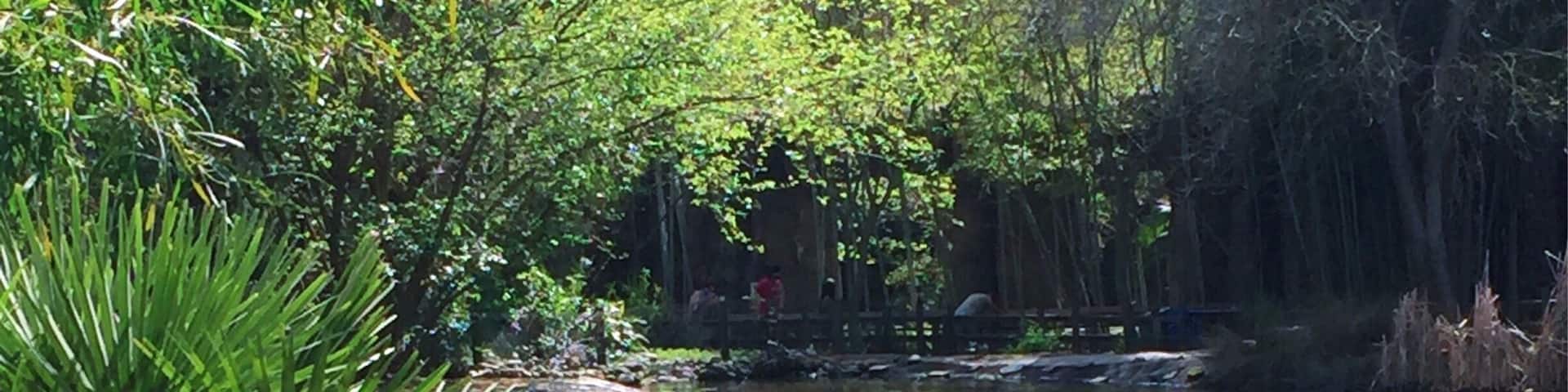 Small zoo but most of the animals are pretty close. And there's Giraffe feeding!
More on http://www.ajauntwithjoy.com