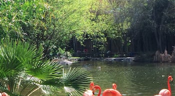 Small zoo but most of the animals are pretty close. And there's Giraffe feeding!
More on http://www.ajauntwithjoy.com