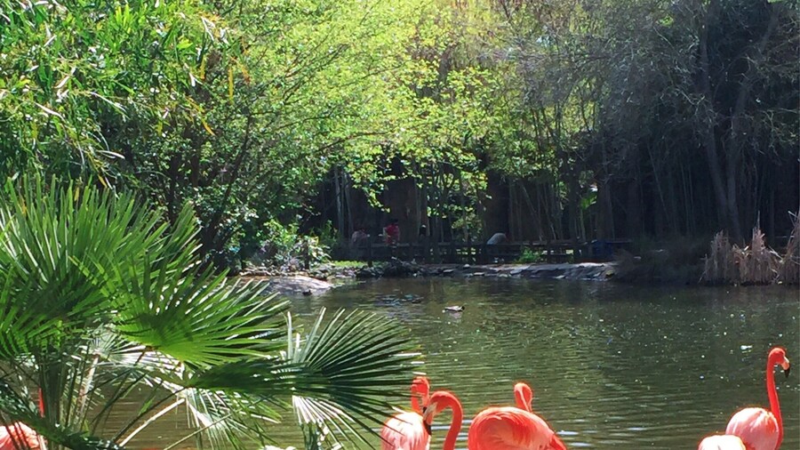 Small zoo but most of the animals are pretty close. And there's Giraffe feeding!
More on http://www.ajauntwithjoy.com