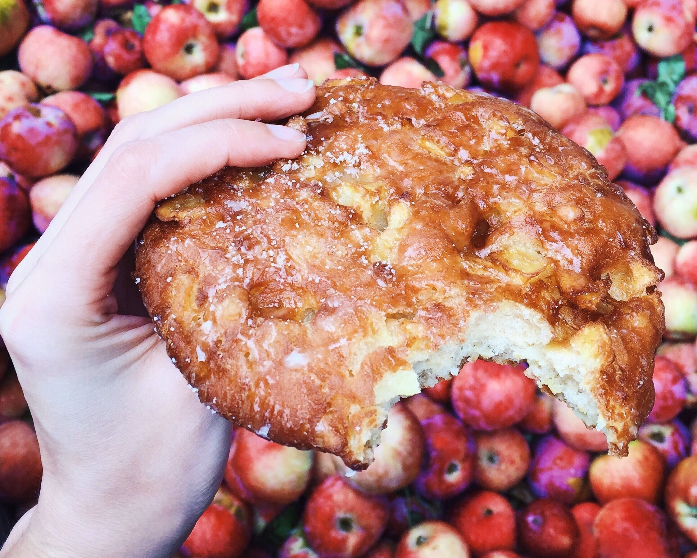 Boa Vista Orchards in Placerville, CA had the best baked goods in the area! Visit Apple Hill.
More on www.ajauntwithjoy.com