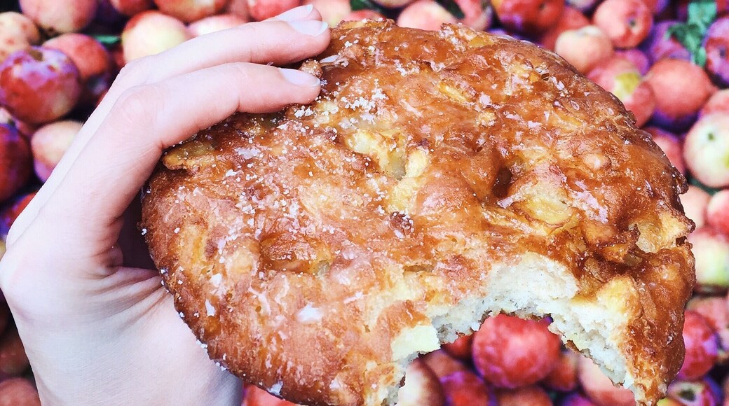 Boa Vista Orchards in Placerville, CA had the best baked goods in the area! Visit Apple Hill.
More on www.ajauntwithjoy.com