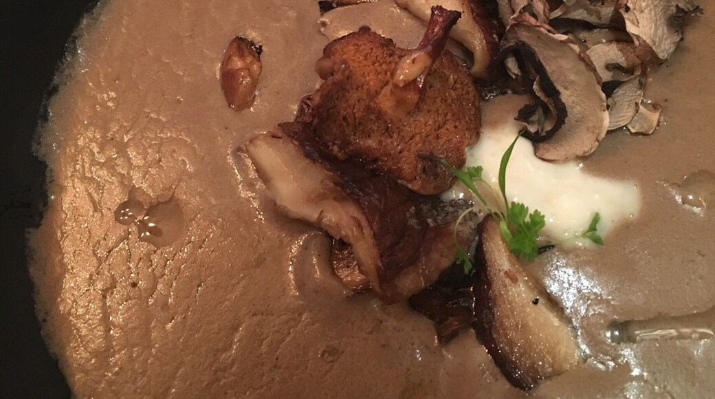 Quite possibly the best thing I've ever eaten. Glorious mushroom bisque.