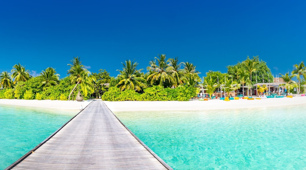 Maldives paradise scenery. Tropical landscape of palm trees and long jetty with white sandy beach. Exotic tourism destination banner